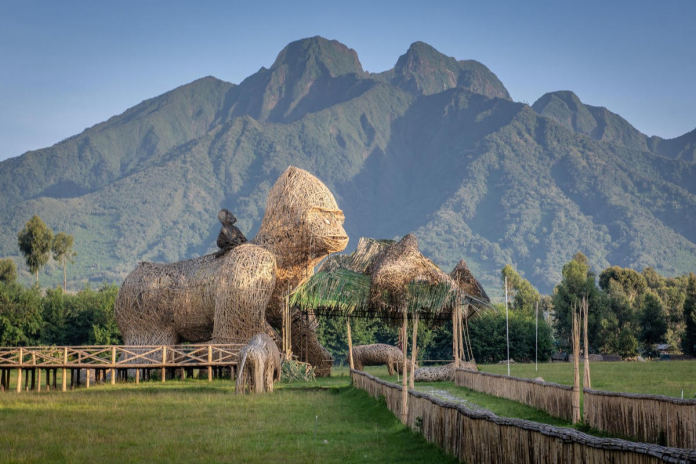 Volcanoes National Park Car Rental: Gorilla Trekking Ready Cars