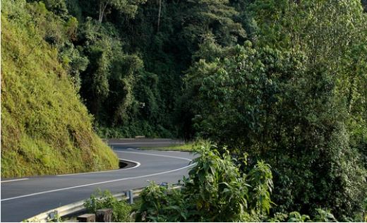 Kigali to Nyungwe: